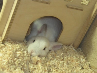 ist in einem guten zuhause gelandet